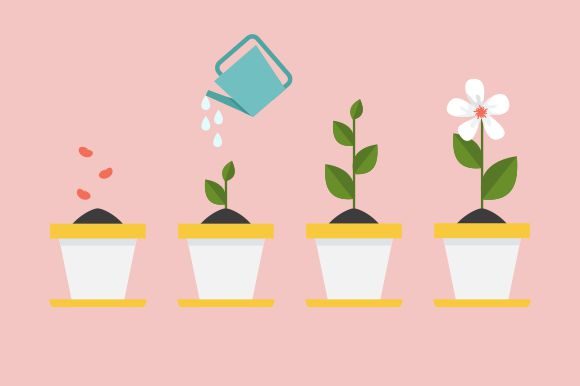 Download Timeline Infographic of Planting Tree - Graph Collection